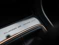 SEAT Leon 2.0 TSI CUPRA R LIMITED No. 196/799 CARBON 311PK Gris - thumbnail 18