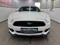 Ford Mustang GT 5.0 Cabrio/EU+COC+Unfallfr/UNIKAT/R19 Weiß - thumbnail 3