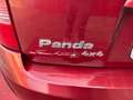 Fiat Panda 1.2 4x4 Climbing NEOPATENTATI crvena - thumbnail 15