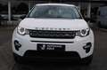 Land Rover Discovery Sport HSE Wit - thumbnail 2