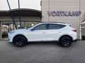 CUPRA Formentor VZ 4Drive AHK/Pano/BeatsAudio Weiß - thumbnail 9