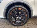 CUPRA Formentor VZ 4Drive AHK/Pano/BeatsAudio Weiß - thumbnail 10