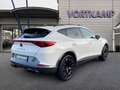 CUPRA Formentor VZ 4Drive AHK/Pano/BeatsAudio Weiß - thumbnail 6