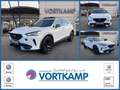 CUPRA Formentor VZ 4Drive AHK/Pano/BeatsAudio Weiß - thumbnail 1