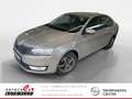 Skoda Rapid/Spaceback Beige - thumbnail 1