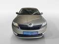 Skoda Rapid/Spaceback Beige - thumbnail 9