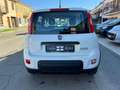 Fiat Panda 1.0 FireFly S&S Hybrid Weiß - thumbnail 6