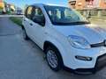 Fiat Panda 1.0 FireFly S&S Hybrid Weiß - thumbnail 3