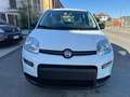 Fiat Panda 1.0 FireFly S&S Hybrid Blanc - thumbnail 1