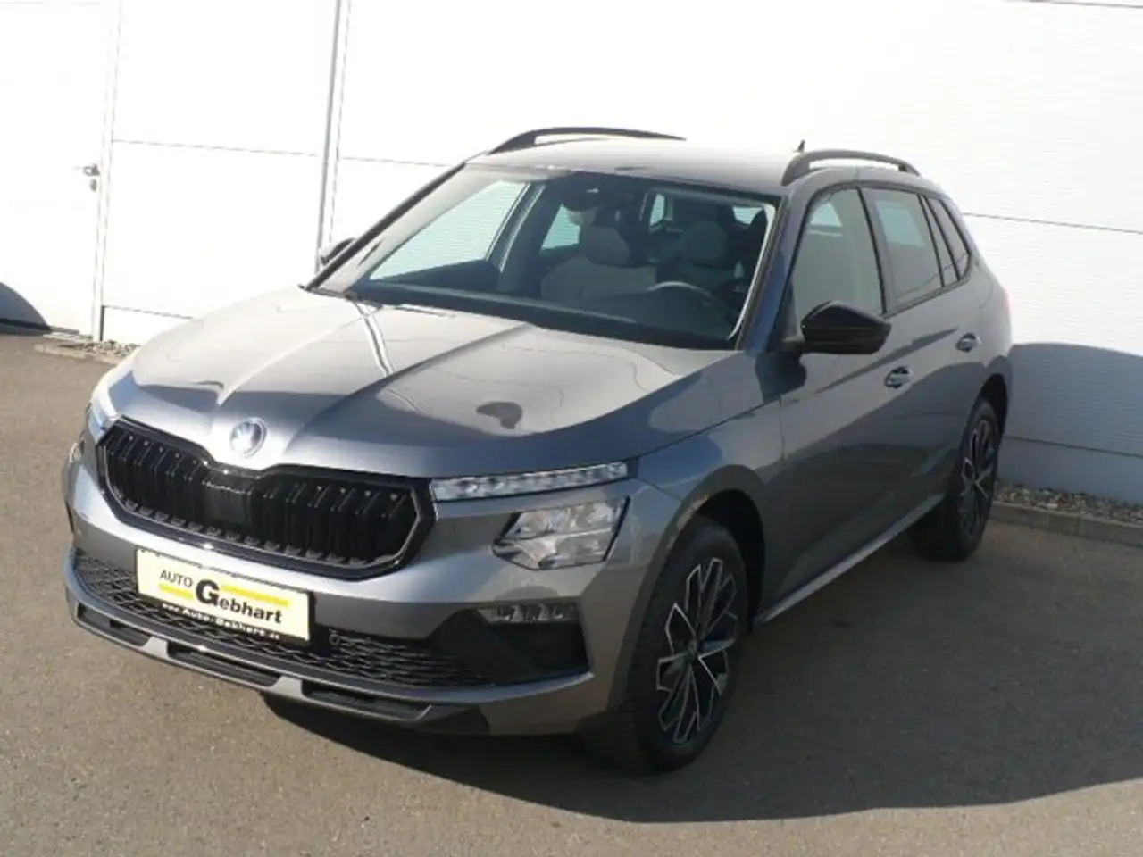 Skoda Kamiq Selection SHZ Kamera PDC ALU