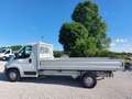 Fiat Ducato Maxi 35 LH1 2.3cc 140cv cassone fisso 4000mm utile Weiß - thumbnail 8