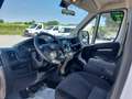 Fiat Ducato Maxi 35 LH1 2.3cc 140cv cassone fisso 4000mm utile Weiß - thumbnail 9