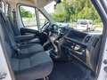 Fiat Ducato Maxi 35 LH1 2.3cc 140cv cassone fisso 4000mm utile Weiß - thumbnail 12