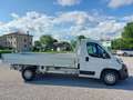 Fiat Ducato Maxi 35 LH1 2.3cc 140cv cassone fisso 4000mm utile Weiß - thumbnail 4