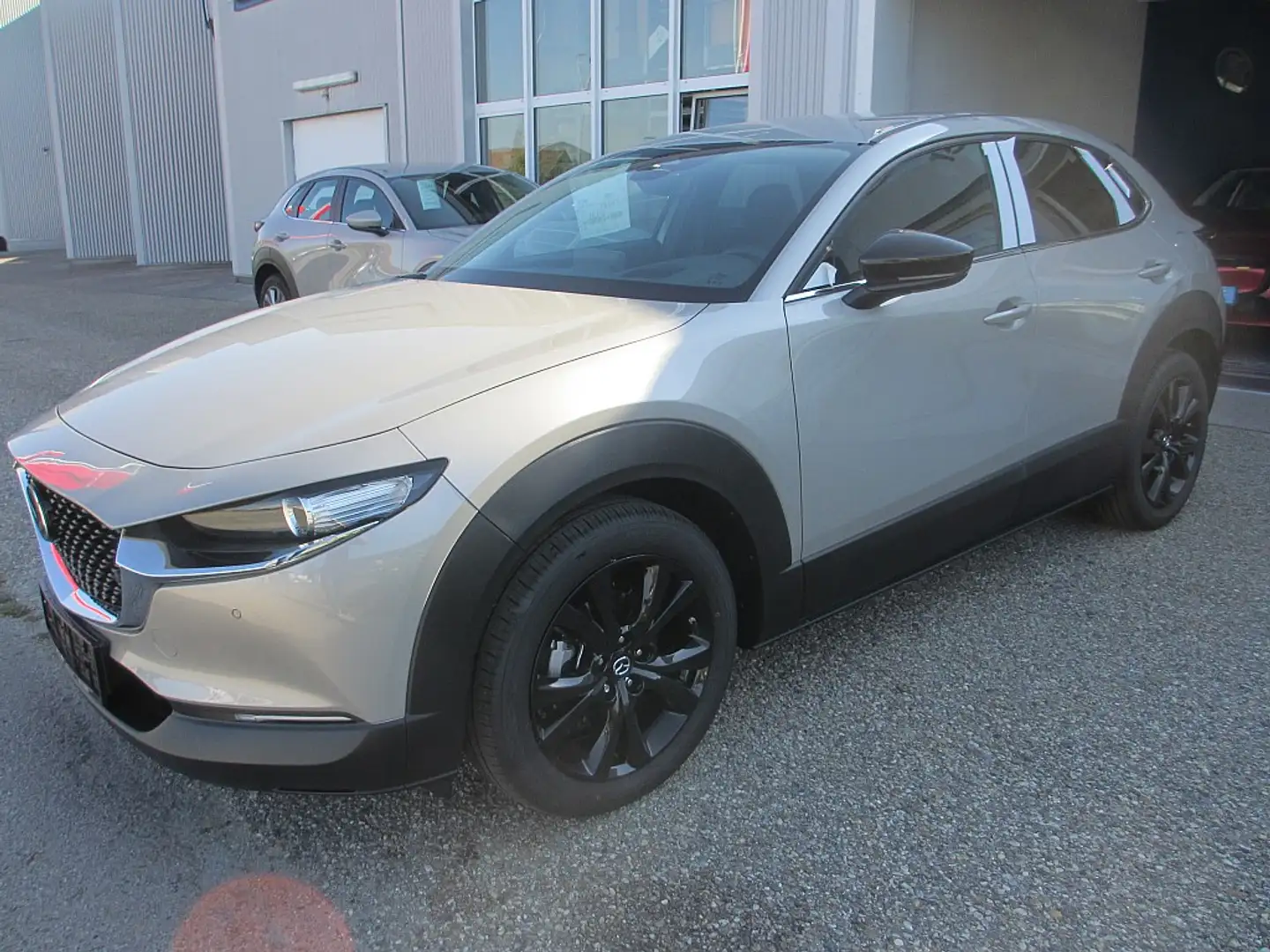 Mazda CX-30 /G140/Homura Modell 2025 Beige - 2