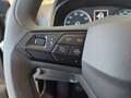 SEAT Ibiza Austria Edition Grau - thumbnail 7