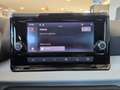 SEAT Ibiza Austria Edition Grau - thumbnail 13