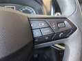 SEAT Ibiza Austria Edition Grau - thumbnail 8