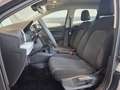 SEAT Ibiza Austria Edition Grau - thumbnail 4