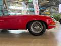 Jaguar E-Type S1 Cabrio 4,2L/Servolenkung/5-Gang/ 2+ Rot - thumbnail 9