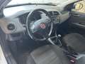 Fiat Bravo 1.6 mjt Dynamic 105cv neopatentato - thumbnail 12