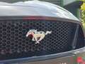 Ford Mustang Cabriolet Gt 5.0l V8 450 Bva10 Premium Siyah - thumbnail 6