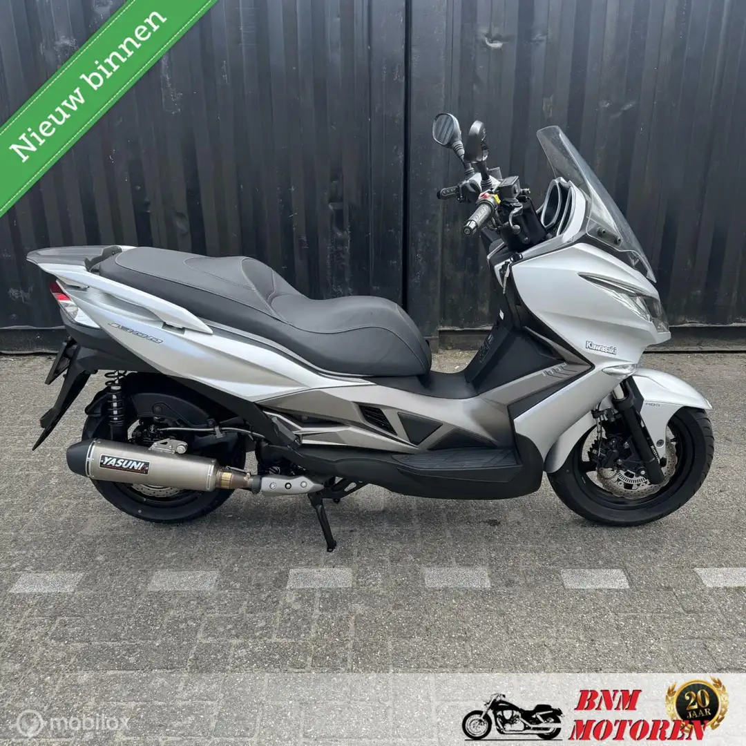 Kawasaki J300 ABS Gris - 1