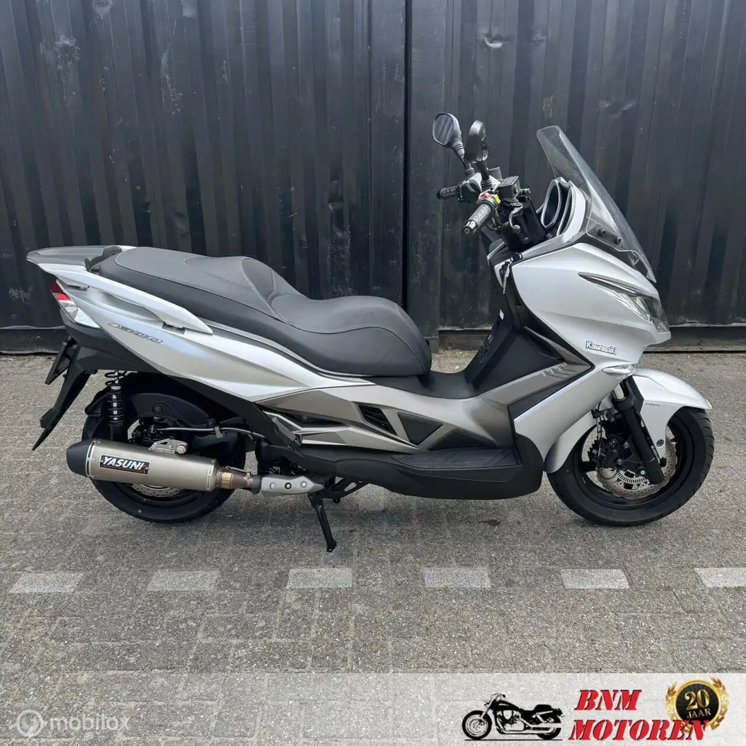 Kawasaki J300 ABS Gris - 1