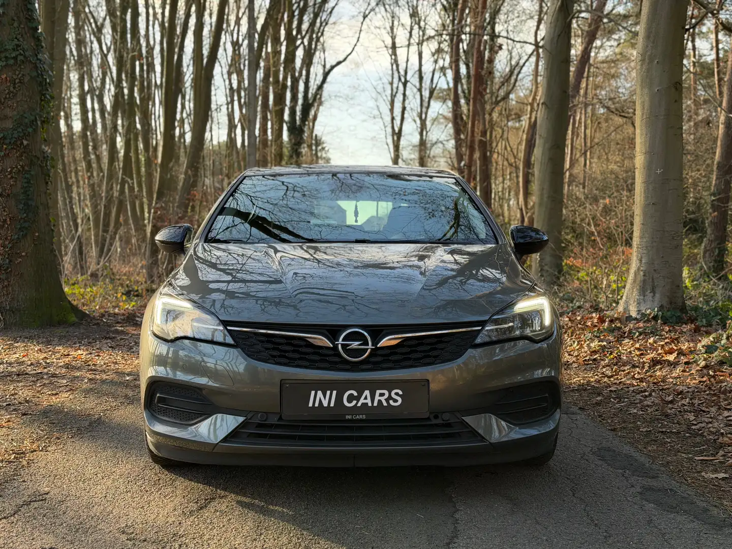 Opel Astra Astra 1.5 D Start/Stop Business Elegance Grau - 2