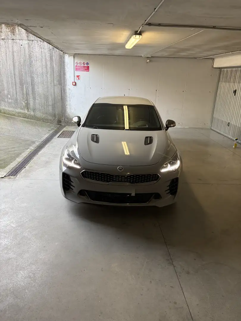 Kia Stinger 2.2 CRDI RWD AT8 Gri - 2
