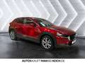 Mazda CX-30 e-SKYACTIVE G 150 EXCLUSIVE-LINE Bluetooth Rot - thumbnail 5