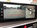 Kia Sorento 2,2 CRDi SCR AWD Platin DCT Grau - thumbnail 12