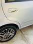 Fiat Punto Evo Punto Evo 5p 1.4 Active s - thumbnail 7