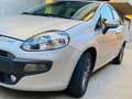 Fiat Punto Evo Punto Evo 5p 1.4 Active s - thumbnail 6