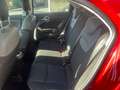 Fiat 500X 500X 1.3 MultiJet 95 CV Pop Star Rosso - thumbnail 6