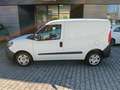 Fiat DOBLO' CARGO LOUNGE Bianco - thumbnail 7
