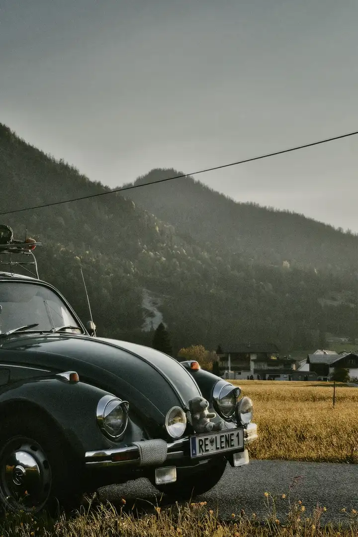 Volkswagen Käfer Grün - 2