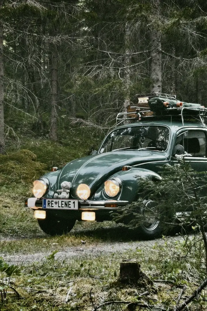 Volkswagen Käfer Grün - 1