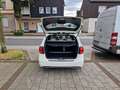 Mercedes-Benz B 180 B -Klasse 180 CDI TAXI*1.HAND*LEDER*TEMP*PDC* White - thumbnail 10
