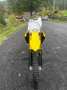 Suzuki RMZ 450 Geel - thumbnail 7