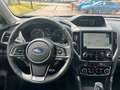 Subaru Forester 2.0ie  Platinum Black Edition+AZV Grau - thumbnail 12