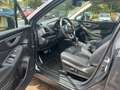 Subaru Forester 2.0ie  Platinum Black Edition+AZV Grau - thumbnail 7