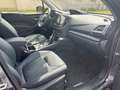 Subaru Forester 2.0ie  Platinum Black Edition+AZV Grau - thumbnail 8