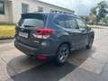Subaru Forester 2.0ie  Platinum Black Edition+AZV Grau - thumbnail 4
