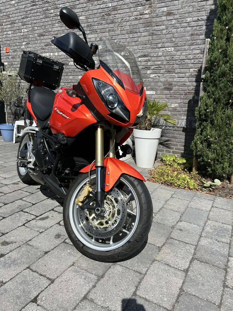 Triumph Tiger 1050 Оранжевий - 1