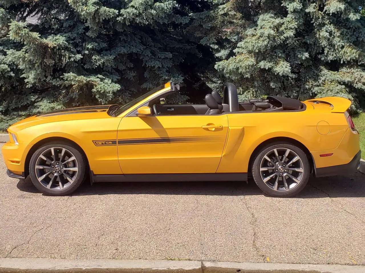 Ford Mustang photo Ford Mustang