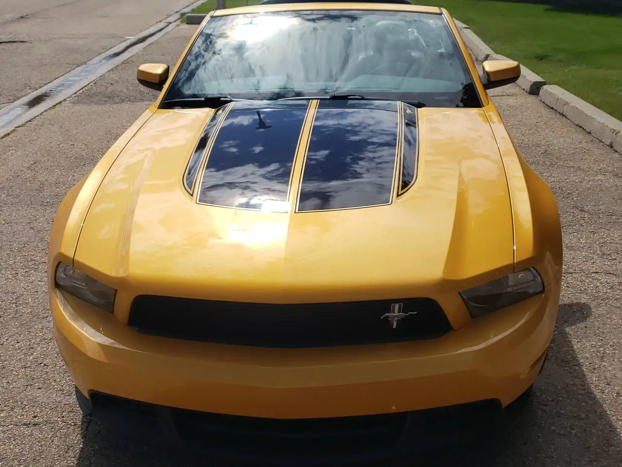 Ford Mustang photo Ford Mustang