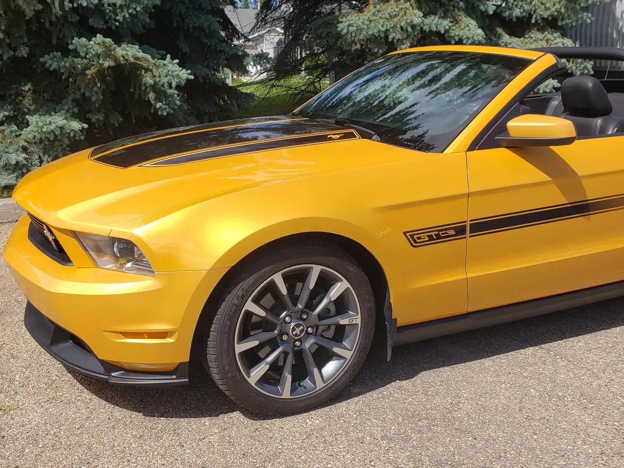 Ford Mustang photo Ford Mustang