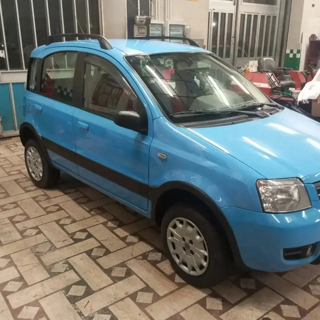 Fiat Panda Panda 1.2 Climbing 4x4 Blu/Azzurro - 2