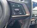 Subaru XV 2.0i e-BOXER Luxury AWD Grijs - thumbnail 12